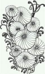 Zentangle Zendoodle Zentangles Doodles Dangle Volwassenen Kleuren Blumen Estampados Mandalas Bordado Técnicas Vorlagen sketch template
