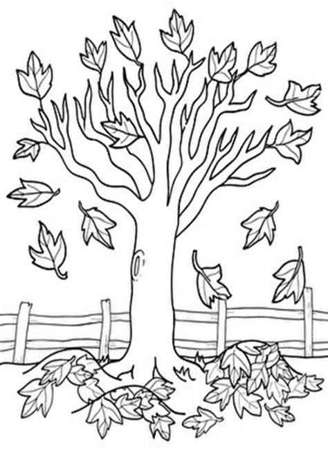 easy  print tree coloring pages tulamama