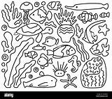 Korallen Hundreds Malvorlagen sketch template
