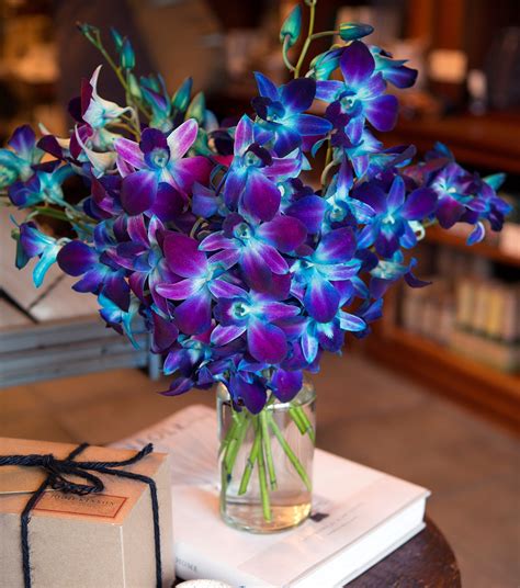 galleon kabloom exotic blue sapphire orchid bouquet   fresh blue dendrobium orchids