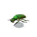 drone beetle model animal crossing   wishlist maker villagerdb