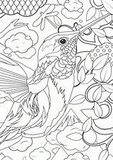 Coloring Pages Detailed Kids Older Popular sketch template