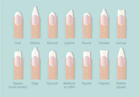 the ultimate guide to nail shapes ask the experts