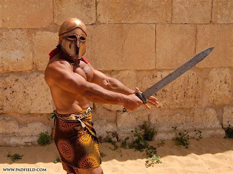 gladiator hd wallpaper background hd wallpapers gladiator gladiator fights fighting poses