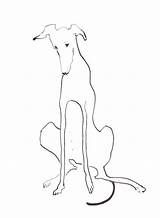 Drawing Line Dog Greyhound Drawings Dogs Picasso Tattoo Pen Illustration Animal Personalized Lurcher Ink Getdrawings Hygiene So Personal Created Almost sketch template