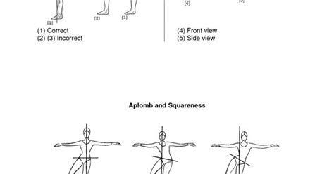 Vaganova Arm Positions Ballet Learn To Dance At