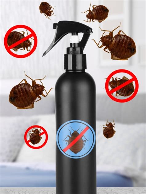 How To Make Homemade Bed Bug Spray That Works [2023]