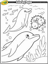 Coloring Dolphin Pages Dolphins Crayola Ocean Printable Kids Sheets Animal Summer Color Print Sea Fish Adult Book Books Whales Colouring sketch template