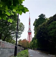 東京タワー リリー・フランキー 筑前 に対する画像結果.サイズ: 183 x 185。ソース: www.lyricnet.jp