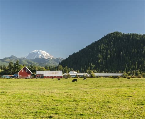 mount peak pinnacle peak outdoor project