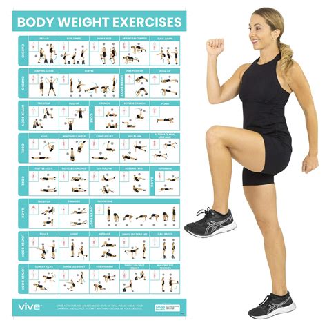 buy vive body weight workout bodyweight exercises  home gym