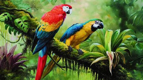 bird parrot jungle brach parrots painting art painting birds tropical forest forest