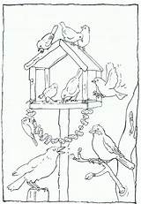 Kleurplaten Vogels Feeder Feeding Kleurplaat Parel Vogel Voeren Tuin Designlooter Uitprinten Downloaden sketch template