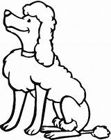 Poodle Coloring Pages Dogs sketch template