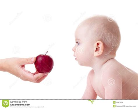 apple  baby stock photo image   expressing