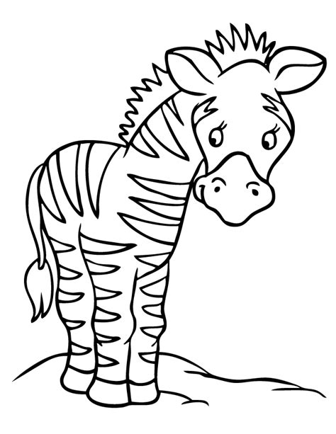 baby zebra cartoon clipartsco