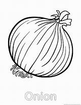 Coloring Onion Pages Popular sketch template