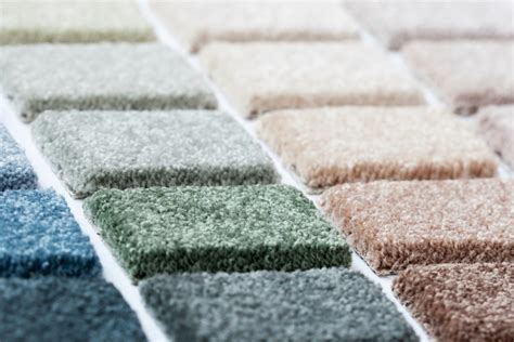 carpet color advice thriftyfun