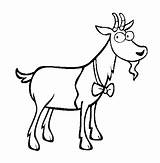 Colorat Capra Desene Goat Goats Planse Cabras Animale Domestice Capre Imagini Fise Iezi sketch template