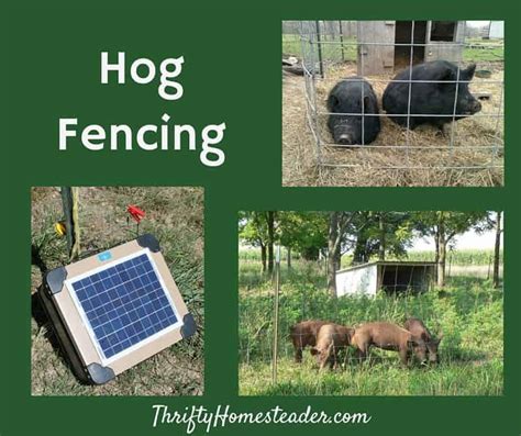 hog fencing