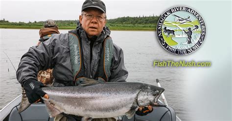 king salmon fishing  alaska nushagak river adventures