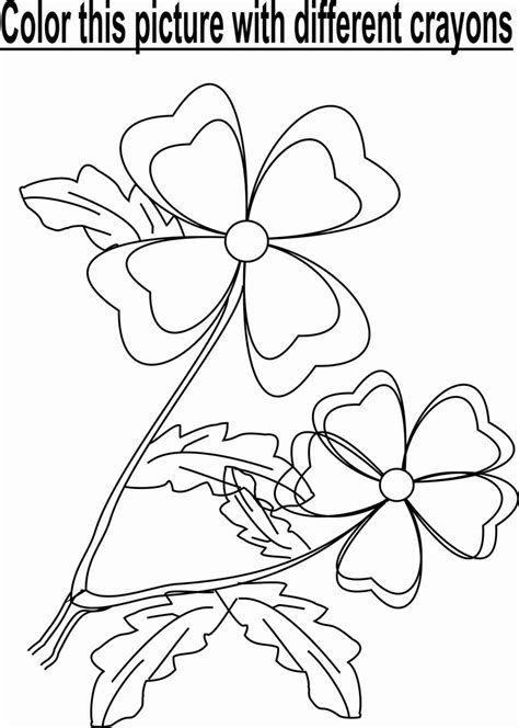 flower  garden coloring page