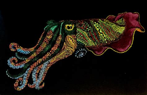 cuttlefish aquarium fish art ideas intricate coloring ink detail