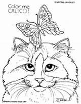 Coloring Calico Pages Cat Kittens Curious Activity Cats Printable Color 1st Grade Fun sketch template