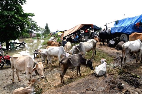 purnia bihar floods