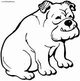 Bulldog Coloring English Pages Georgia sketch template