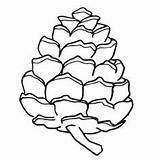 Pine Cone Coloring Pages Pinecone Clipart Cliparts Getcolorings Getdrawings Library sketch template