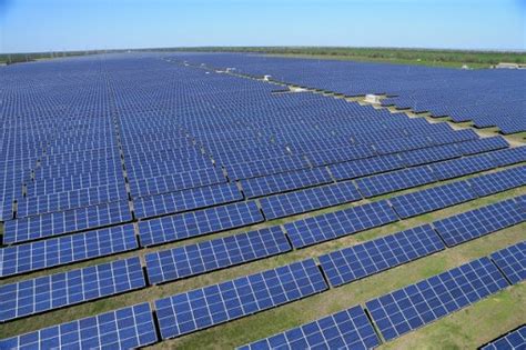 solar energy companies conserve energy future