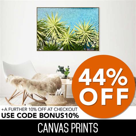 buy art hand paintings canvas prints wall hangings interiors  australia