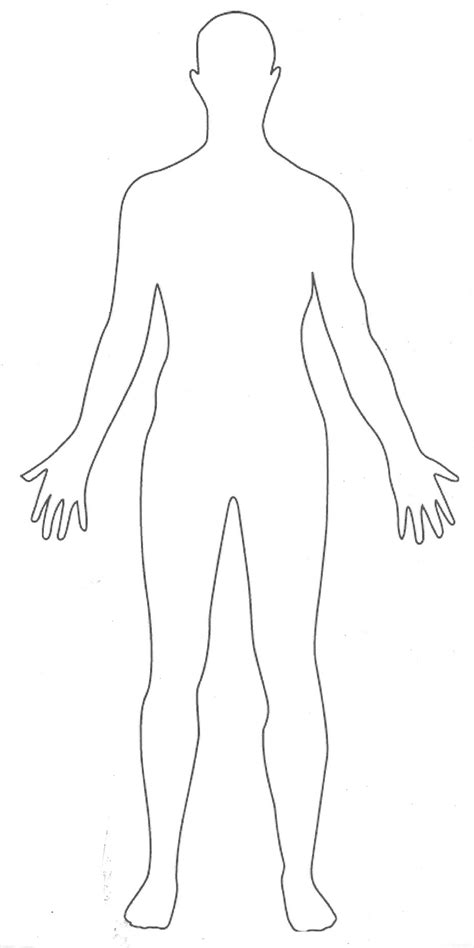 blank human body