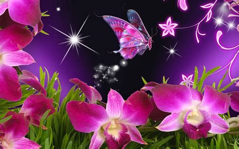 pink butterfly wallpapers desktop wallpaper cave