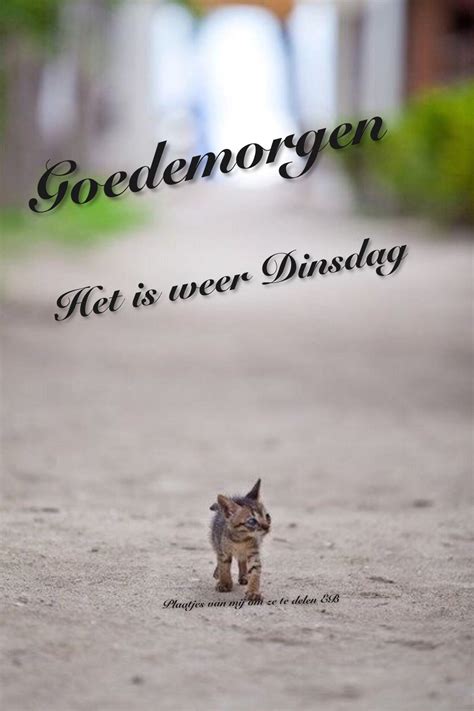 goedemorgen het  weer dinsdag tuesday good morning lockscreen  school bonjour