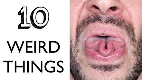 Top 10 Weird And Strange Facts You Never Knew Cheap