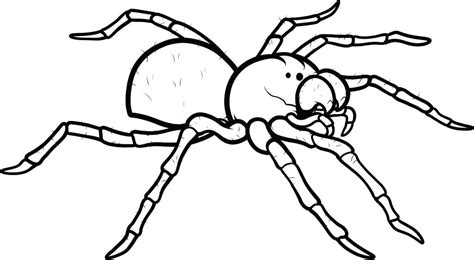 spider girl coloring pages coloring pages