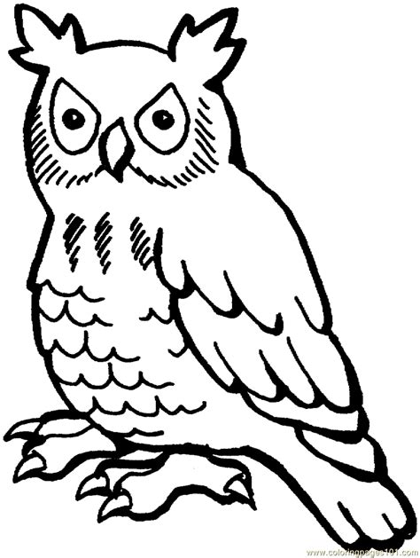 cartoon owl coloring pages clipartsco