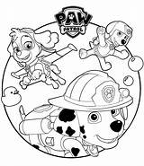 Coloring Patrol Paw Printable Book Pages Well sketch template