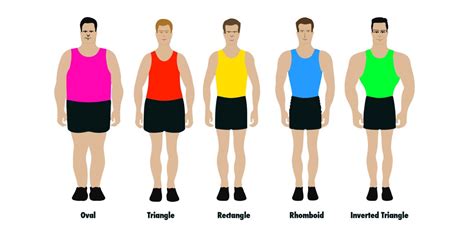 male body shapes   health experts metro news