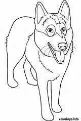 Chien Alaskan Malamute sketch template