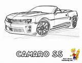 Coloring Car Camaro Chevrolet Pages Chevy Printable Corvette Porsche Ss Camero Box Sheets Cars Kids Clipart Color Gusto Print Coloriage sketch template