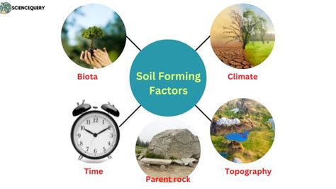 soil forming factors  definition sciencequery