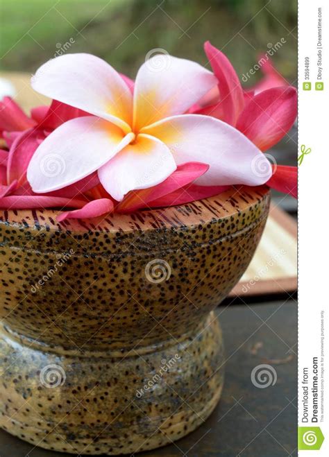 spa  aromatherapy concept stock image image  medicine aroma