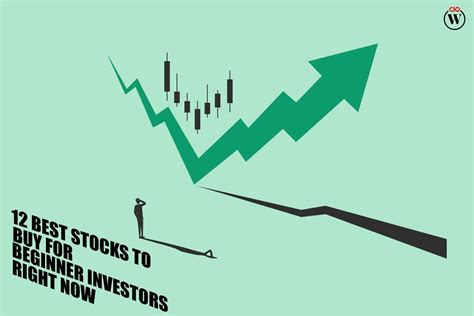 stocks  buy  beginner investors   cio women magazine