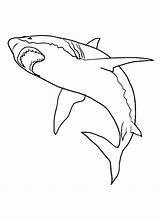 Shark Coloring Pages Sharks Kids Great Printable Color Realistic Print Drawing Colouring Bestcoloringpagesforkids Tiger Sheets Week Hubpages Filminspector Fish Animals sketch template