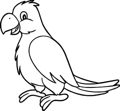 cute parrot coloring pages  coloring sheets   bird