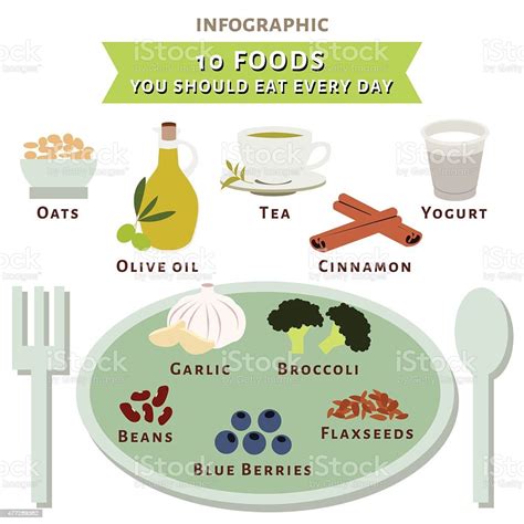 ten foods you should eat every day infographic vector stock