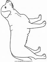 Labrador Hunde Malvorlage Animali Malvorlagen Honden Kolorowanka Dieren Tiere Cani Hond Ausmalen Colouring Gratismalvorlagen Colorare Svg Piesek Lightupyourbrain Quilts Dxf sketch template